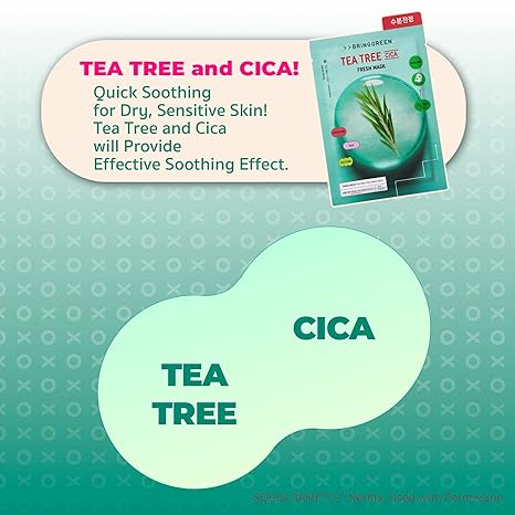 BRINGGREEN Tea Tree Cica & Young Hee Fresh Mask